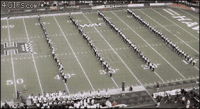 /album/coras-cool-creations/funnycatpic2-gif/