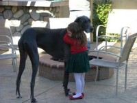 /album/coras-cool-creations/funnycatpic7-jpg/