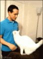 /album/photo-gallery-blog/funnycatpic1-gif2/